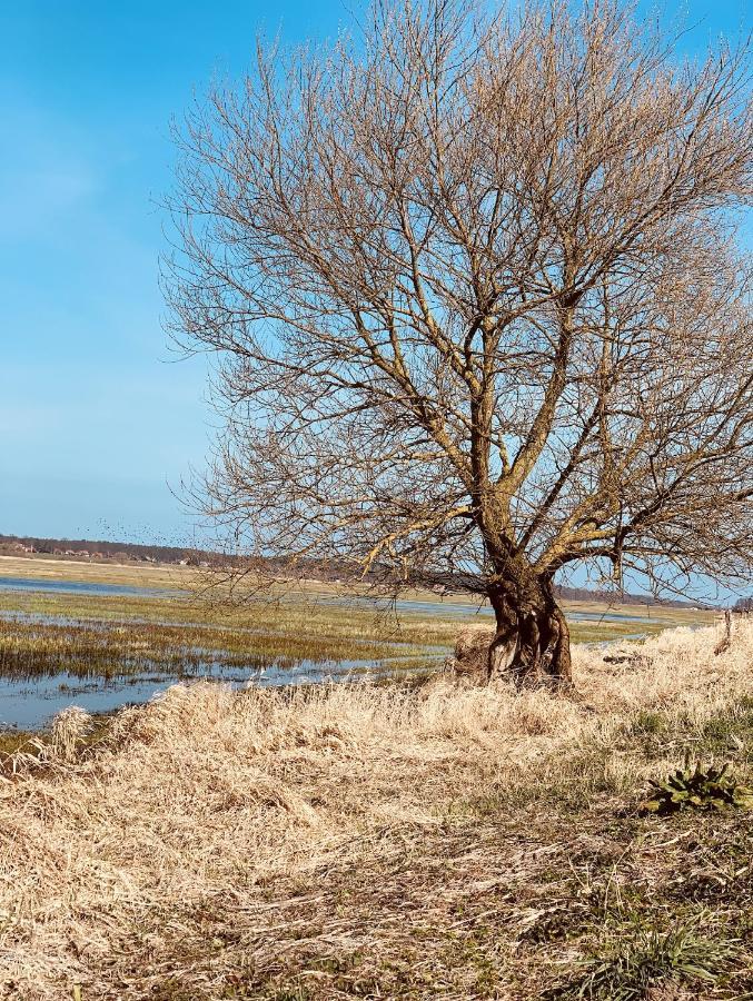 Tilia Authentic Home, Butikowe Apartamenty Nad Morzem Mikoszewo Kültér fotó