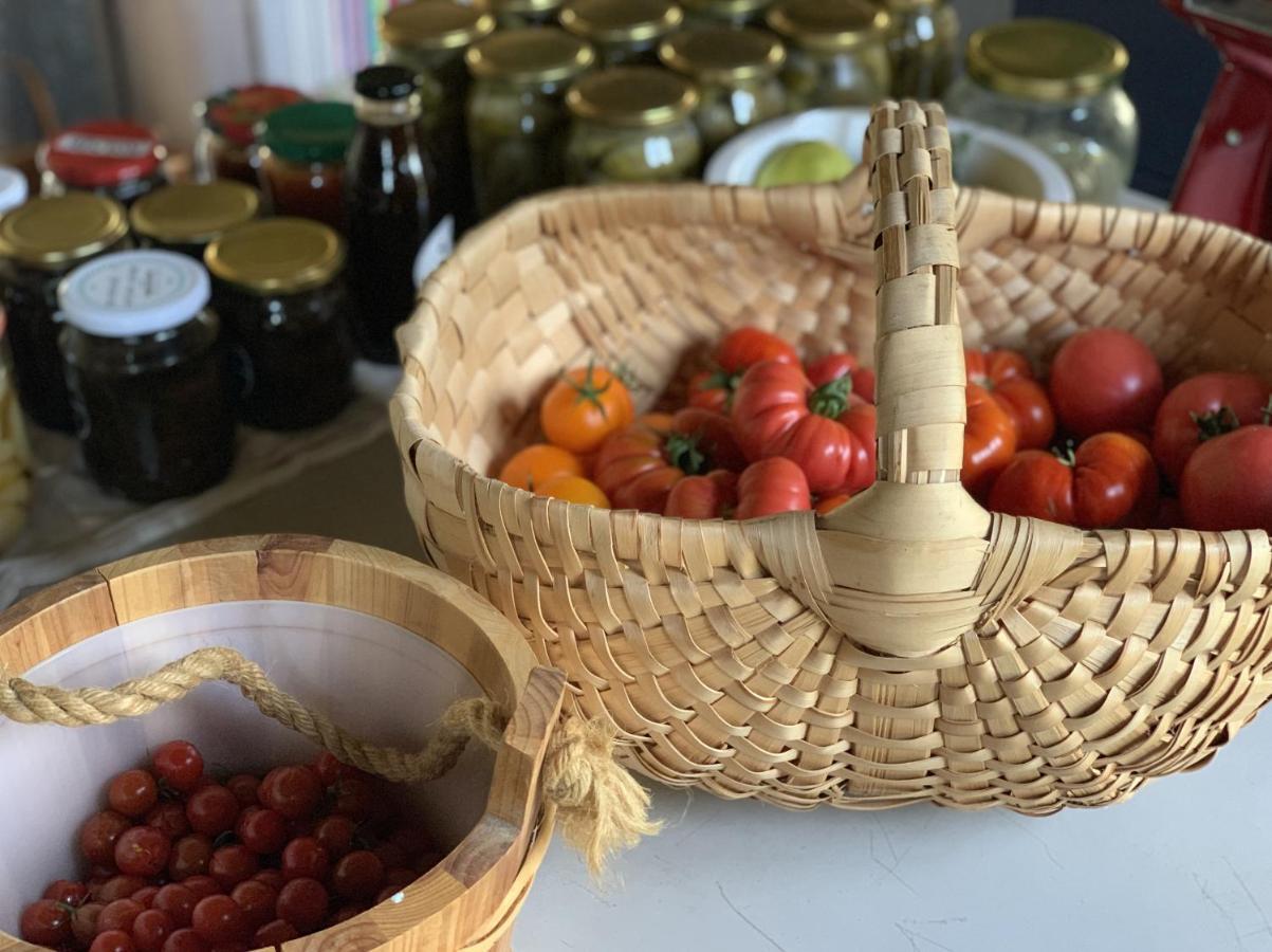 Tilia Authentic Home, Butikowe Apartamenty Nad Morzem Mikoszewo Kültér fotó